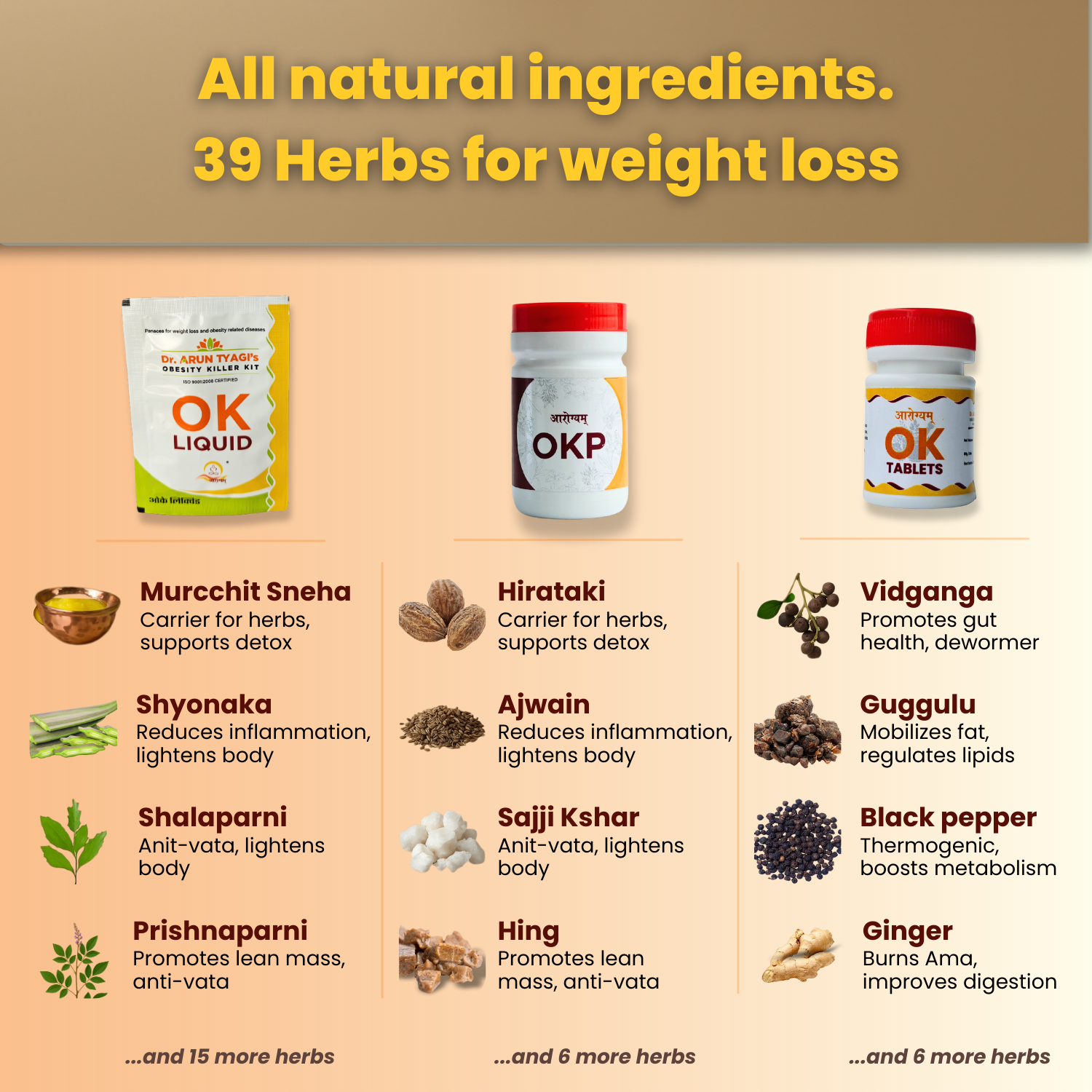 डॉ. अरुण त्यागी की मोटापा नाशक किट | आयुर्वेदिक वज़न घटाने का उपाय