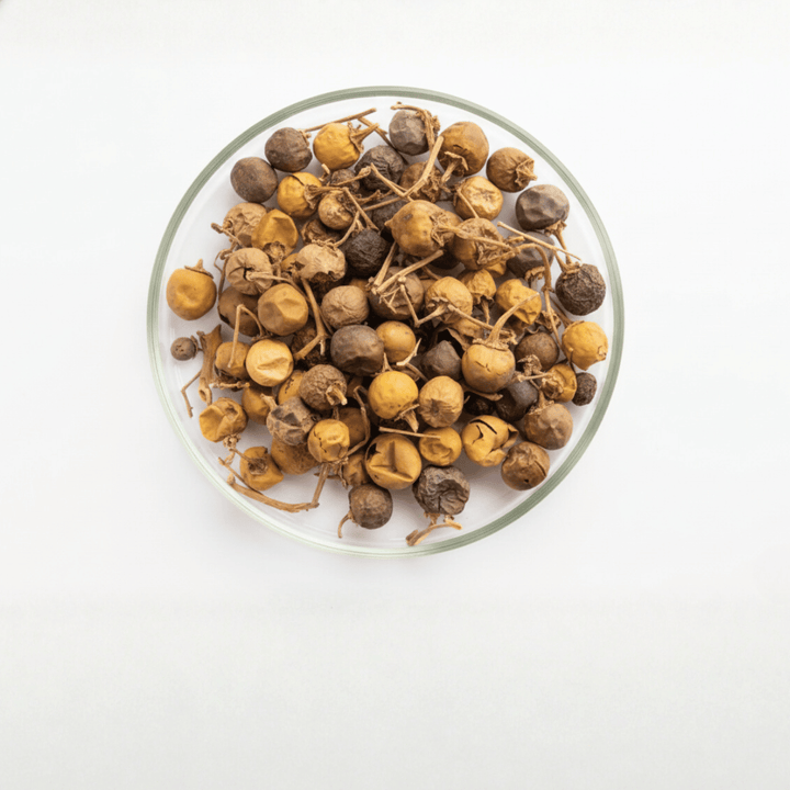 Yellow-berried Nightshade